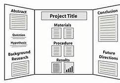 Science Fair Project Format Bing Images Science Fair Projects Boards Science Fair Board Science Fair Display Board
