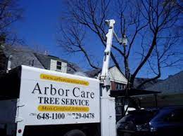 At arbor care tree services inc. Arbor Care Tree Service Tree Work Tree Removal Tree Spraying Tree Pruning Arlington Belmont Winchester Melrose Stoneham Lexington Reading Ma