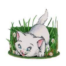 Wash 'n wags pet grooming. Cat Cake