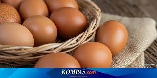 Saat hari besar seperti lebaran, natal dan imlek maka harga telur biasanya selain telur ayam harga telur bebek dan puyuh juga dapat terpengaruh saat harga telur ayam yogyakarta naik. Harga Telur Ayam Diproyeksi Tetap Tinggi Hingga 2021 Halaman All Kompas Com