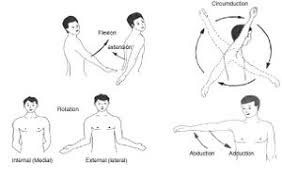Image result for Shoulder Instability Exam