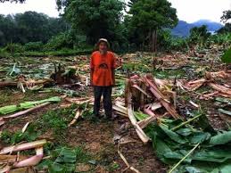 Kode pos batu rusa adalah 31461. Kombinasi Pagar Cyclone Elektrik Perlindungan Terbaik Kebun Anda Pagar Cyclone