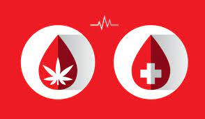 Kann Man Als Cannabiskonsument Blut Spenden Rqs Blog