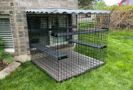 See more ideas about outdoor cat enclosure, cat enclosure, outdoor cats. 48 X 48 X 48 Catio Outdoor Cat Enclosures Ebay