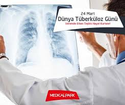 Dunyada Son 20 Yilda Tuberkuloz Surekli Artis Gostermekte Her Yil 8 8 Milyon Yeni Tuberkuloz Vakasi Gorulmekte Ve Yine Her Yil 1 6 Milyon Ki Hayat Bilgi Dunya