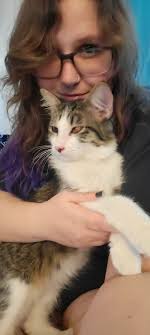 I need a nick name for my brown kitten