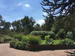 Botanische Garten Mit Gewachshausern In Deutschland Eine Ubersicht
