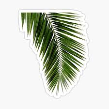 Every item on this page was chosen by a town & country editor. Palm Leaf Stickers Redbubble