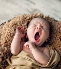 Made familiar by actress jaclyn smith. 600 Best Baby Boy Names That Start With J Unique Modern