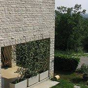 Marbre Eclate Recherche Google Tree Trunk Plants Tree