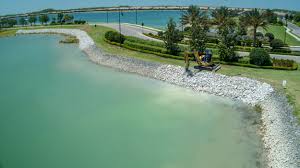 Flight distance is approximately 91 miles (147 km) and flight time from fort myers, fl to st. Shoreline Restoration In Tampa Bay St Petersburg Naples Sarasota Fort Myers And Beyond Dragonfly Pond Works