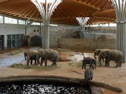 170 reviews of zoologischer garten köln this is a good zoo. Zoo Koln Hotel Arrangement Hotel Viktoria Unweit Des Kolner Zoos