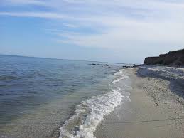 Cine iubeste natura salbatica are la ce sa se uite: Vila Maia O Dupa Amiaza La Pescuit De Chefal La Plaja Corbu Facebook
