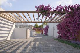 It is native to eastern south america, found from brazil, west to peru. Ibiza Shows New Luster Wsj