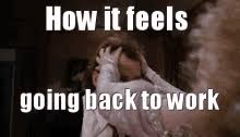 Find gifs with the latest and newest hashtags! Funny Welcome Back Gifs Tenor