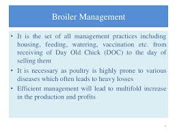 Broiler Management