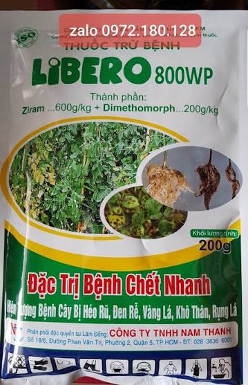 Libero 800WP