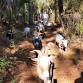 11/22 Guided Nature Walk with Goat Herd at Jaybird... event in Fernandina Beach, FL