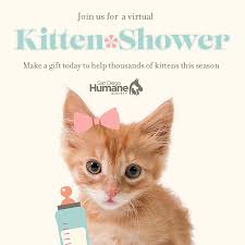 Different tasks are completed everyday. San Diego Humane Society On Twitter The Kittens Are Coming We Are Holding A Virtual Kitten Shower To Help Raise Donations For The Many Supplies Needed For Our Kitten Nursery Which Will