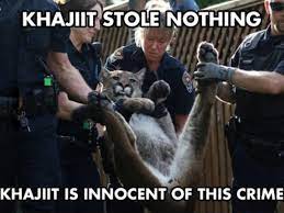 Assorted Skyrim Lotr And Stuff Dump Khajiit Stole Nothing Khajiit Is Innocent Of This Crime