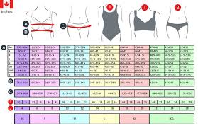 lingerie and swimwear measuring guide bra sizing guide