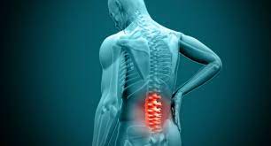 Study Tests Stem Cells As A Treatment For Degenerative Disc Disease Covering The Specialized Field Of Orthopedic Product Development And Manufacturing