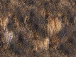 Fur Texture Seamless Free Download Fabric Textures For Photoshop In 2021 Fur Textures Textile Texture Photoshop Textures