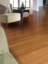 Ecofusion Solid Strand Woven Bamboo Flooring Bamboo Flooring Flooring Bamboo Laminate Flooring