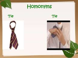 Image result for homonyms