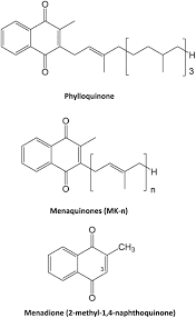 What's the difference between vitamin k1 and vitamin k2? Vitamin K Plasma Levels Determination In Human Health
