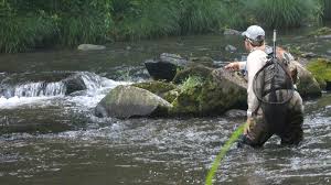 Nc Trout Fishing Upper Nantahala River Gorge Fishing