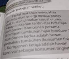 We did not find results for: Buatlah Tiga Pertanyaan Dari Paragraf Di Soal Nomor 1 Brainly Co Id