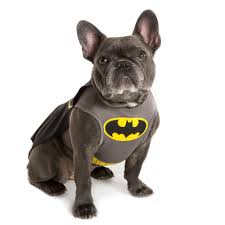 Dc Comics Batman Pet Costume Batman Dog Costume Dog