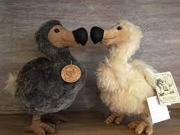 Royal Palm Mauritius Original Dodo Royalpalm Mauritius Bchotels Shopping Resort Souvenirs Dodo Teddybear Boutique Dodo Mauritius Birds