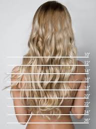 Hair Length Measurement Vanhair Hair Extensions