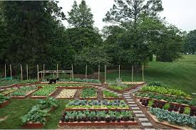 Tomorrow When Michelle Obama And A Corps Of Photogenic Multicultural Schoolchildren Head Backyard Garden Layout Garden Layout Vegetable Vegetable Garden Design