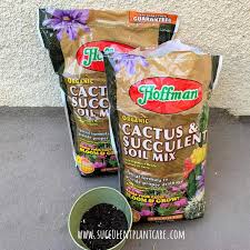 When it is bigger and healthy send a photo and i can try to id the species for you then. Four Popular Succulent Soil Comparison Succulent Plant Care