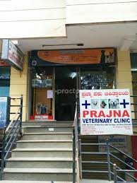 She specializes in small animal surgery, exotic pet medicine, pet nutrition, pet. Prajna Veterinary Clinic Veterinary Clinic In Banashankari 3rd Stage Bangalore Book Appointment View Fees Feedbacks Practo