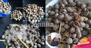 Memang mudah resepi kerang rebus ni. Lelaki Ini Kongsi Cara Rebus Kerang Tanpa Air Barulah Isi Lembut Tak Liat Mingguan Wanita