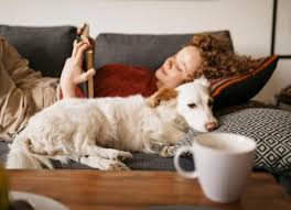Independent certification is an important step for a rapidly growing, easy to enter industry frequently damaged by news reports of serious pet. Emotional Support Animals Which Animals Qualify And How To Register Your Esa Petmd