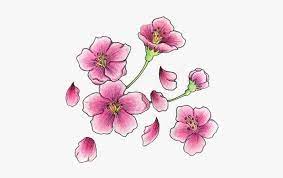 This tattoo shows everyone for once and for all that the simplest shapes can enhance the overall aesthetics of a tattoo. Cherry Blossom Flower Tattoo Design Photo Cherry Blossom Flowers Tattoo Png Image Transparent Png Free Download On Seekpng