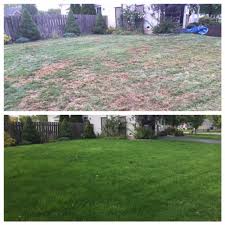 Slice seeding is typically done on very thin lawns to increase the thickness and drought resistance. Slit Seeding For Maximum Results Lawnsite Is The Largest And Most Active Online Forum Serving Green Industry Professionals