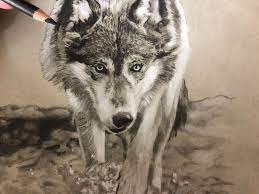 The best of the fish studies. Top 8 Best Tips For Drawing Animals Steemit