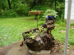 Pin By Penny Dudley On Patio Update Creations Tree Roots Plants Tree Stump