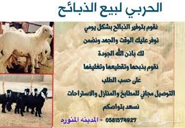 تشابه مزار محرر حراج الغنم في المدينه الجرف setiabersamaagri com