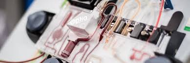 Image result for Apheresis