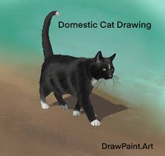 A lot of people asked me to make this 0.0 and now it's done. Tag Cat Easy Drawing Drawpaint Art