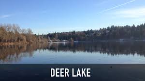 Find real estate & homes for sale in british columbia. Visitor S Guide To Beautiful Deer Lake Park