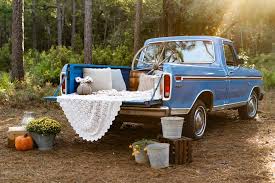 Image result for Blue 1960 Petit Truck