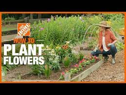 Maybe you would like to learn more about one of these? How To Plant Flowers The Home Depot